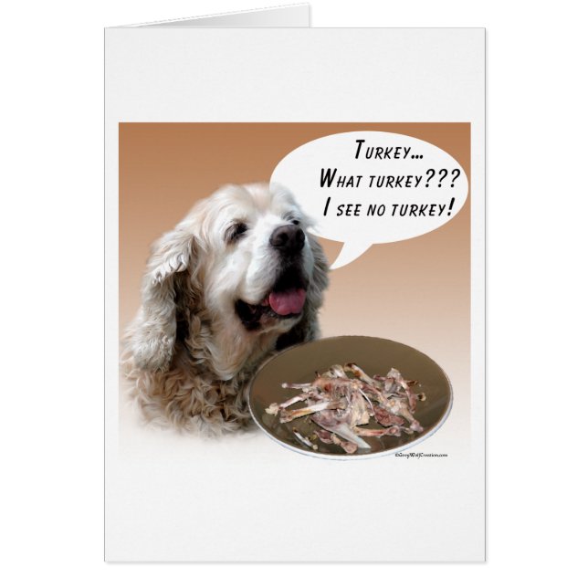 Cocker Spaniel Turkey (Frente)