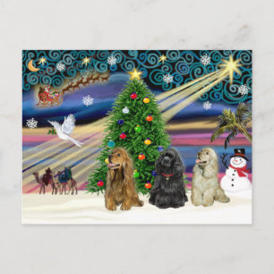 Cocker Spaniels Magia de Navidad (tres)