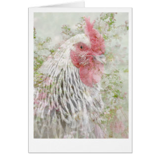 Cockeral en flores