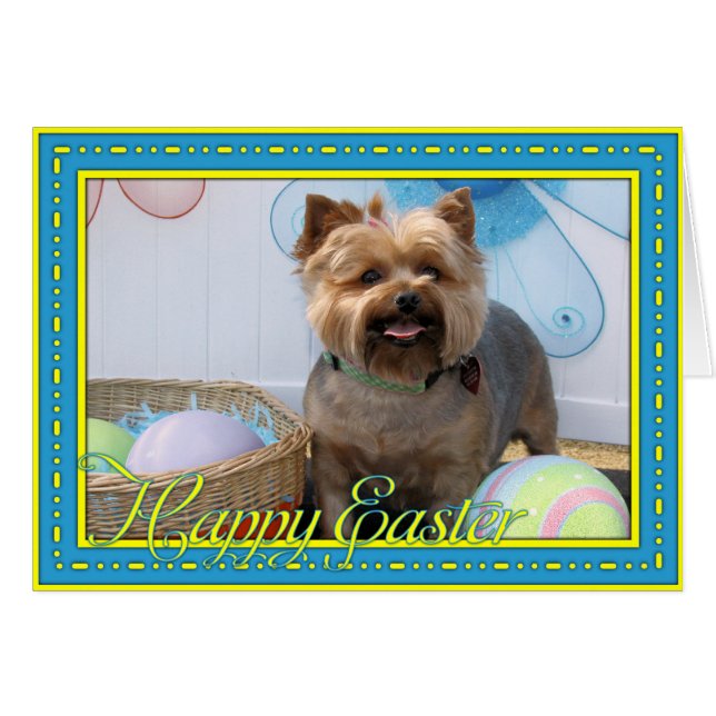 Coco Chanel - Yorkie -4 (Anverso (Horizontal))