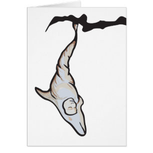 coco de delfín dorsal