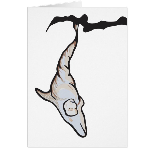 coco de delfín dorsal (Frente)