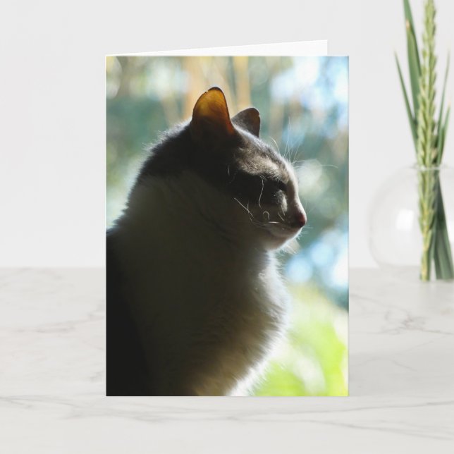 "Coco en la ventana".  Tarjeta de felicitación (Anverso)