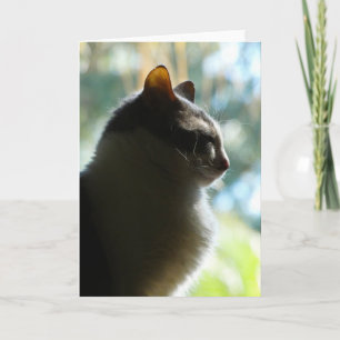 "Coco en la ventana". Tarjeta de felicitación