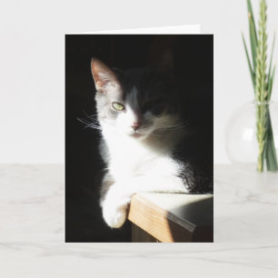 "Coco in the Light I."  Tarjeta de felicitación