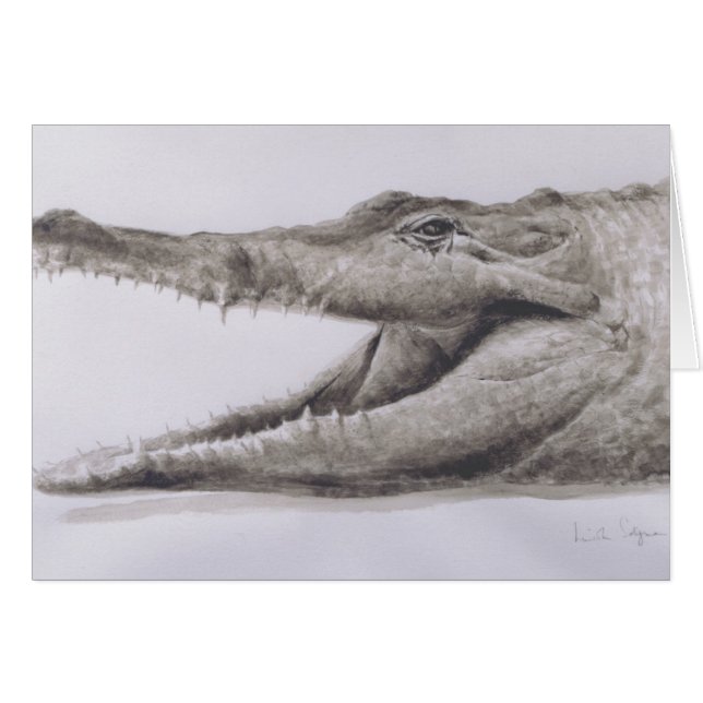 Cocodrilo 2005 (Anverso (Horizontal))