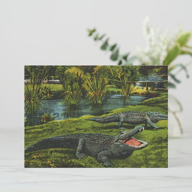 Cocodrilos vintage, animales Reptiles de la Vida M (Anverso de pie)
