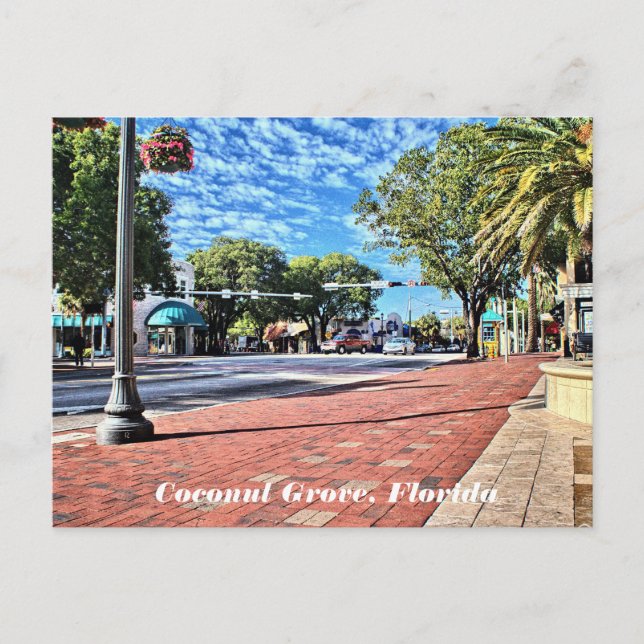 Coconut Grove, postal de Florida (Anverso)