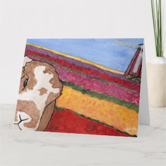 Coconut's Adventures: Tarjeta de felicitación de m