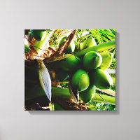 Cocos ~ Arte de tela ~ Trinidad