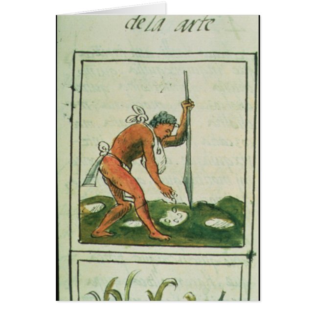 Codex florentino de Bernardino de Sahagun (Frente)