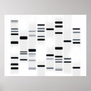 Código de ADN Arte negro en blanco