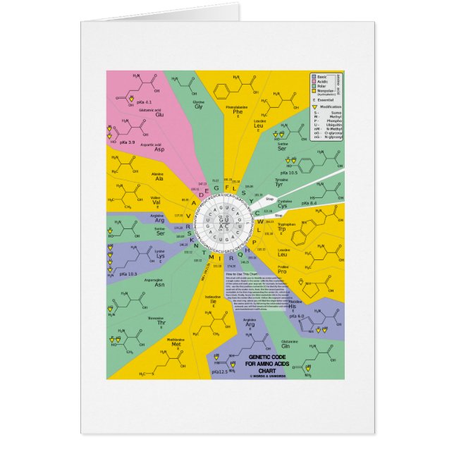 Código genético para los aminoácidos (rueda de la (Frente)