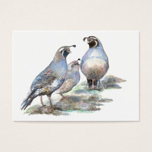 Codornices del ATC California de ACEO