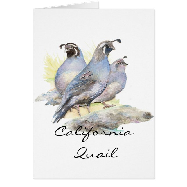 Codorniz de acuarela original de California. Bird (Frente)