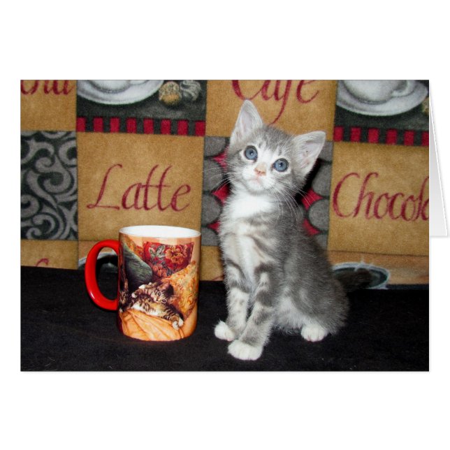 Coffe, té, o maullido (Anverso (Horizontal))