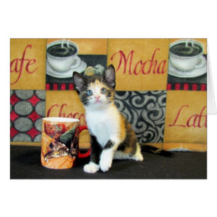 Coffe, té, o maullido - Leilani