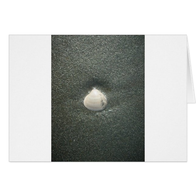 Cojeras marinas Hakuna Matata.JPG (Anverso (Horizontal))