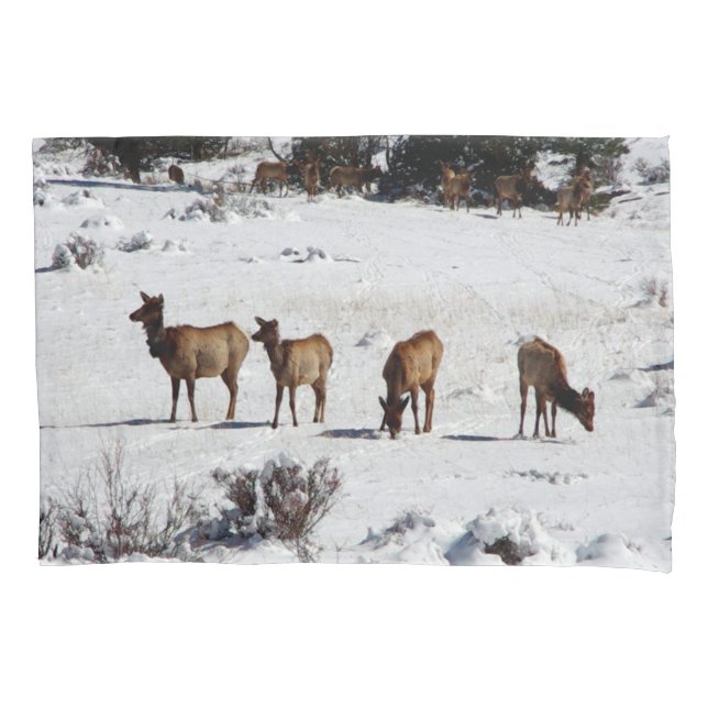 Cojín Alce en funda de almohada de nieve (Anverso)