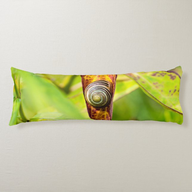 Cojín apego (Anverso)