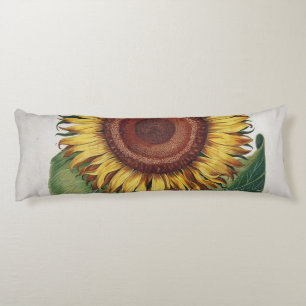 Cojín Arte de Flor de Damasco Vintage Girasol