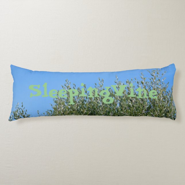 COJÍN ARTE Y CUSIÓN DE DISEÑO (Anverso)