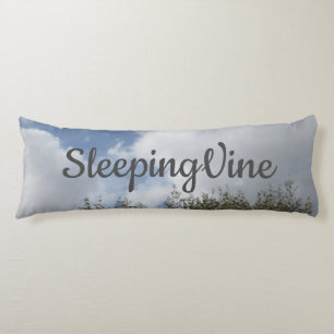 COJÍN ARTE Y CUSIÓN DE DISEÑO