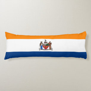 Cojín Bandera de Albany, Nueva York