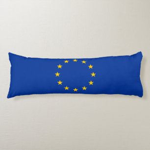 Cojín Bandera de la Unión Europea