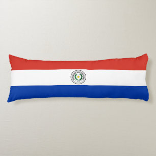 Cojín bandera de Paraguay