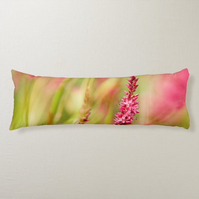 Cojín colorido (Anverso)