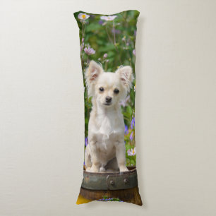 Cojín Cuidadosa crema de pelo largo Chihuahua Perro Cach