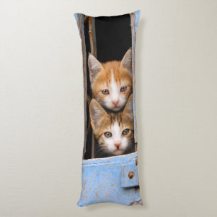 Cojín Cute gatitos en una ventana vintage, cariñosamente