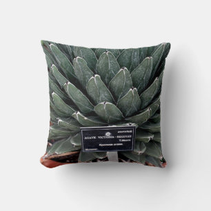 Cojín de empuje de fotografía agave 41 cm x 41 cm