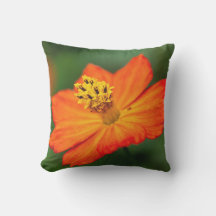 Almohadones para exteriores de la selva tropical d