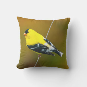 Cojín De Exterior American Goldfinch - Fotografía original