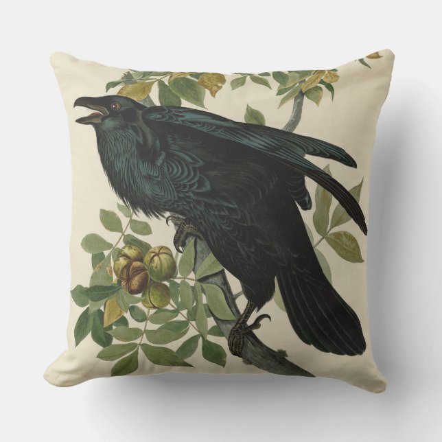 Cojín De Exterior Arte clásico Audubon Raven (Anverso)