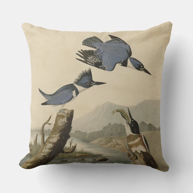 Cojín De Exterior Ave salvaje Audubon Belt Kingfisher (Anverso)
