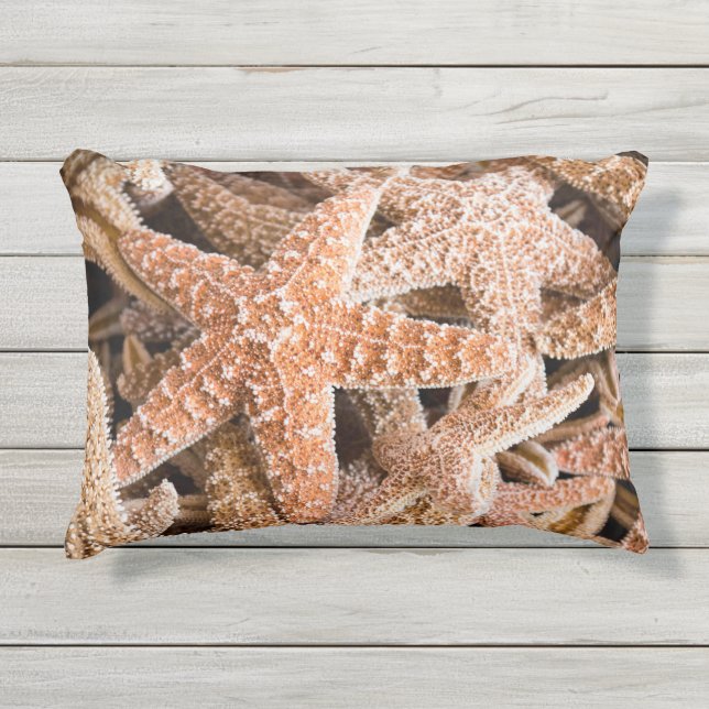 Cojín De Exterior Azúcar Starfish (Anverso)