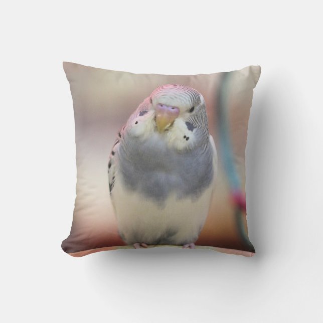 Cojín De Exterior Azul (Anverso)