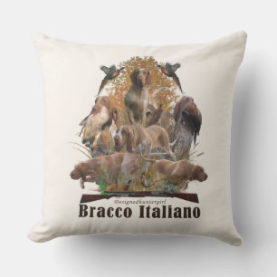 Cojín De Exterior Bracco italiano