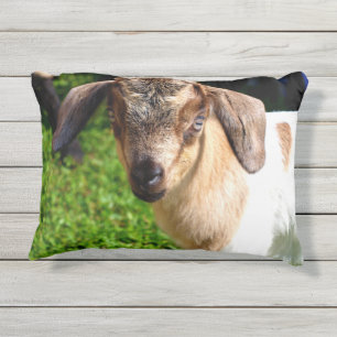 Cojín De Exterior Cabra adorable del bebé