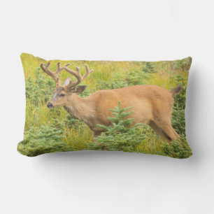 Cojín De Exterior Cernero de cola negra