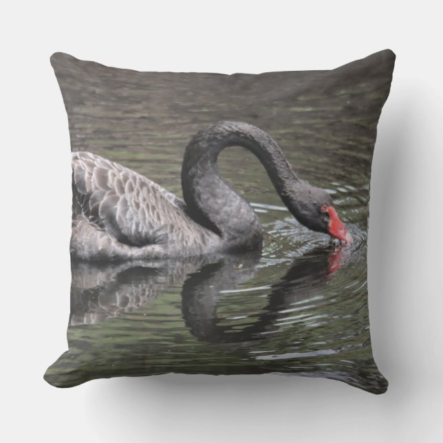 Cojín De Exterior Cisne Negro (Anverso)
