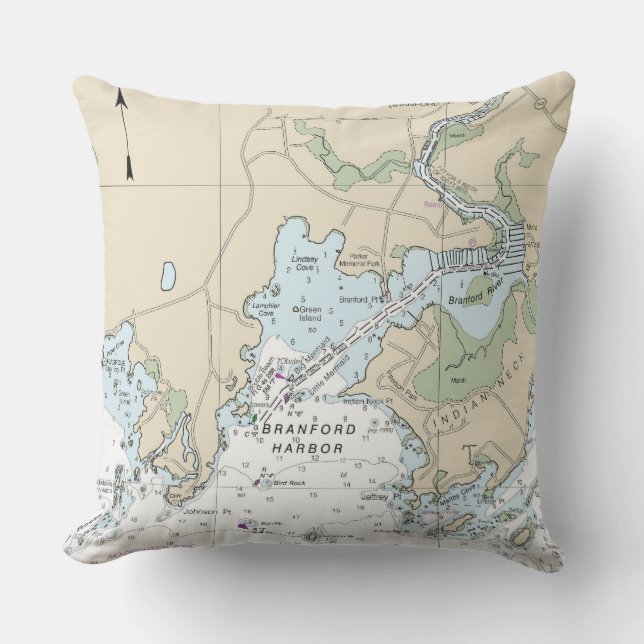 Cojín De Exterior CT_Brandford12372Pillow (Anverso)