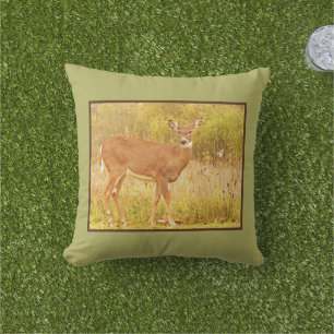 COJÍN DE EXTERIOR DEER IN FIELD MIRANDO LA CÁMARA