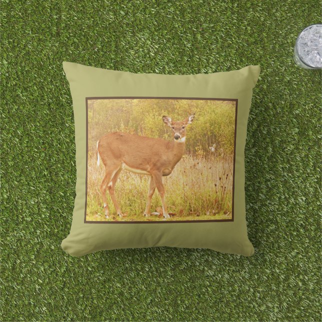 COJÍN DE EXTERIOR DEER IN FIELD MIRANDO LA CÁMARA (Césped)