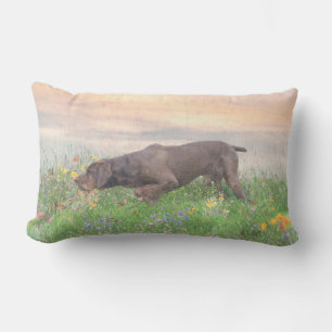 Cojín De Exterior Deutsch Drahthaar  