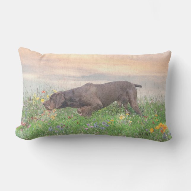 Cojín De Exterior Deutsch Drahthaar   (Anverso)