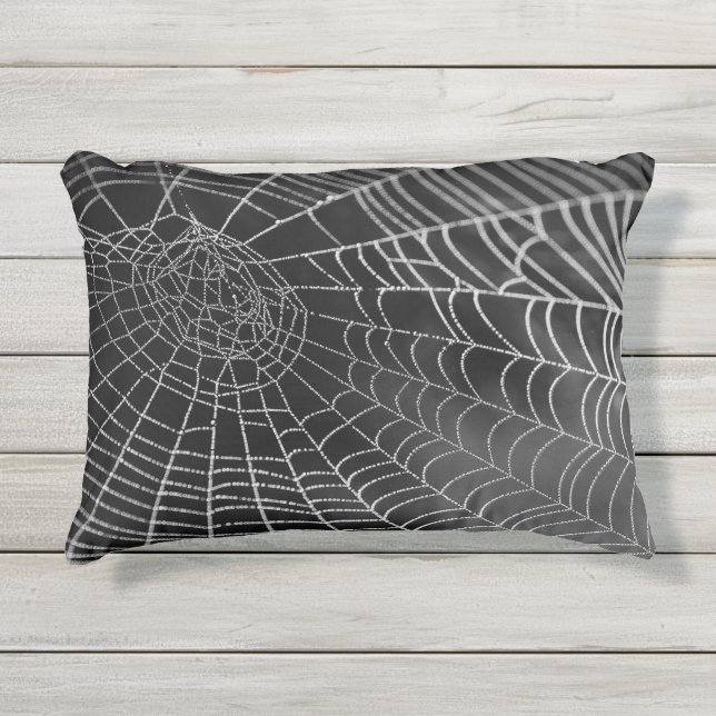 Cojín De Exterior Dewey Spiderweb (Anverso)